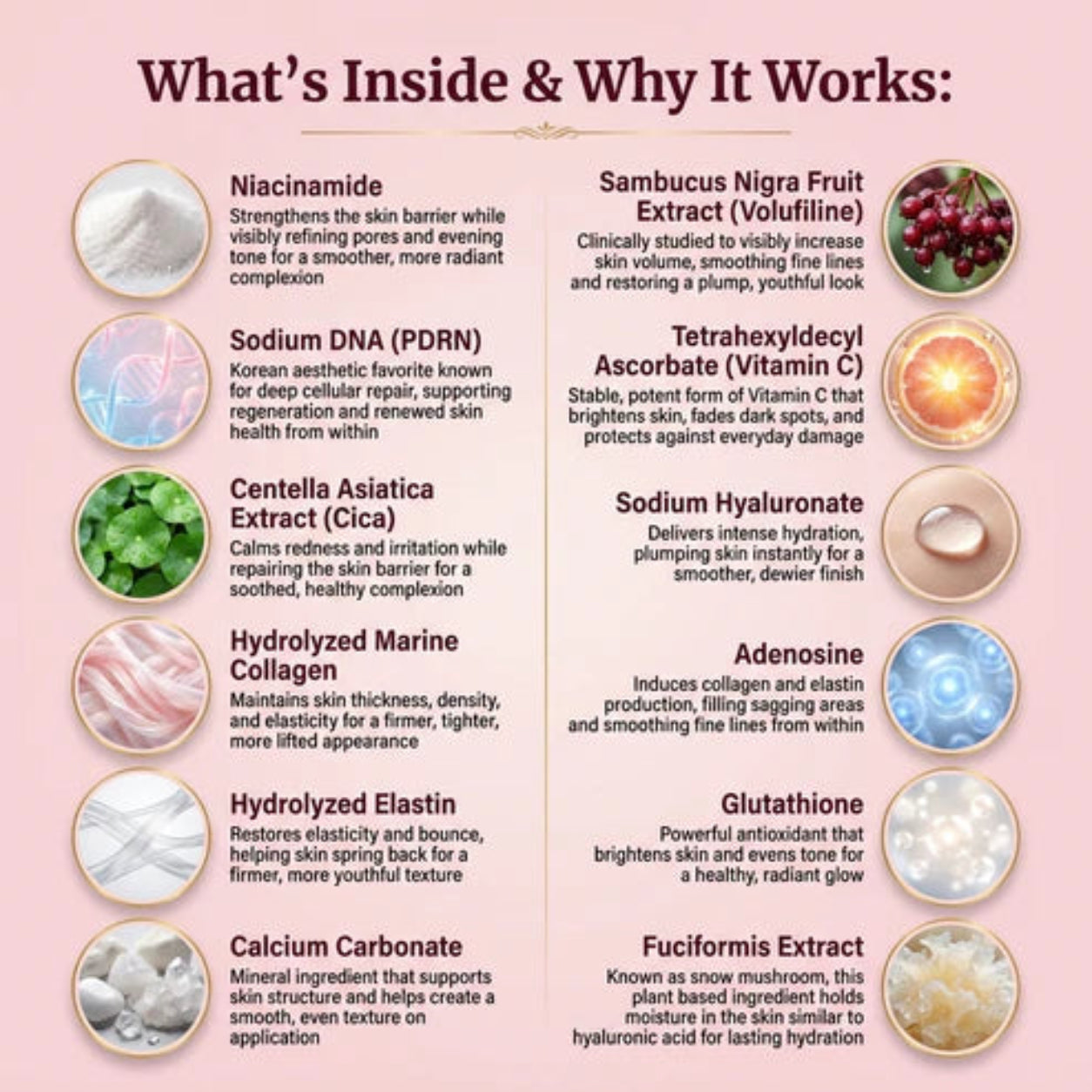 Norvexilatora K-Beauty Balm